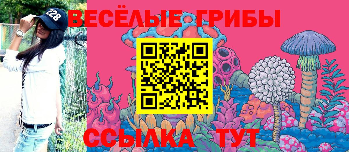 Псилоцибиновые грибы Psilocybine cubensis  магазин продажи наркотиков  Саров  Вход с VPN 